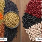 lentils vs beans