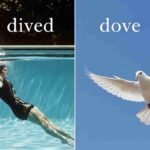 dived vs dove