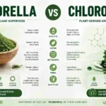 chlorella vs chlorophyll