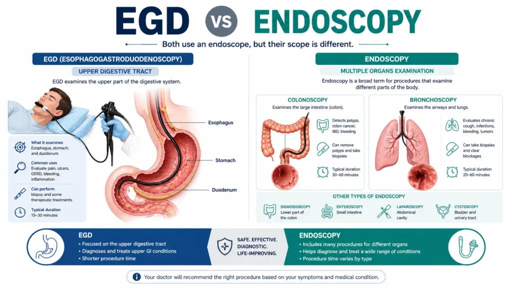 egd vs endoscopy