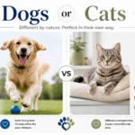 dogs or cats
