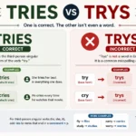 tries or trys