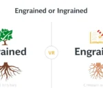 engrained or ingrained