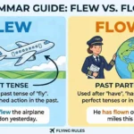 flown or flew
