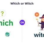 which or witch