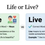 life or live