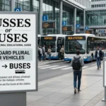 busses or buses