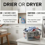 drier or dryer