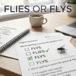 flies or flys