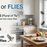 flys or flies