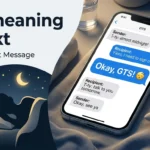 gts meaning in text