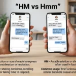 hm meaning in text