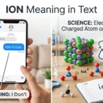 ion meaning in text