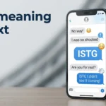 istg meaning in text