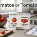 tomatos or tomatoes