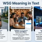 wsg meaning in text