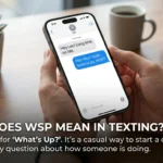 wsp meaning in text.jpg