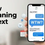 wtw meaning in text