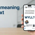 wyll meaning in text