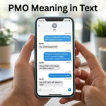 pmo meaning in text