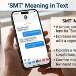 smt meaning in text