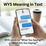 wys meaning in text