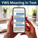 yws meaning in text